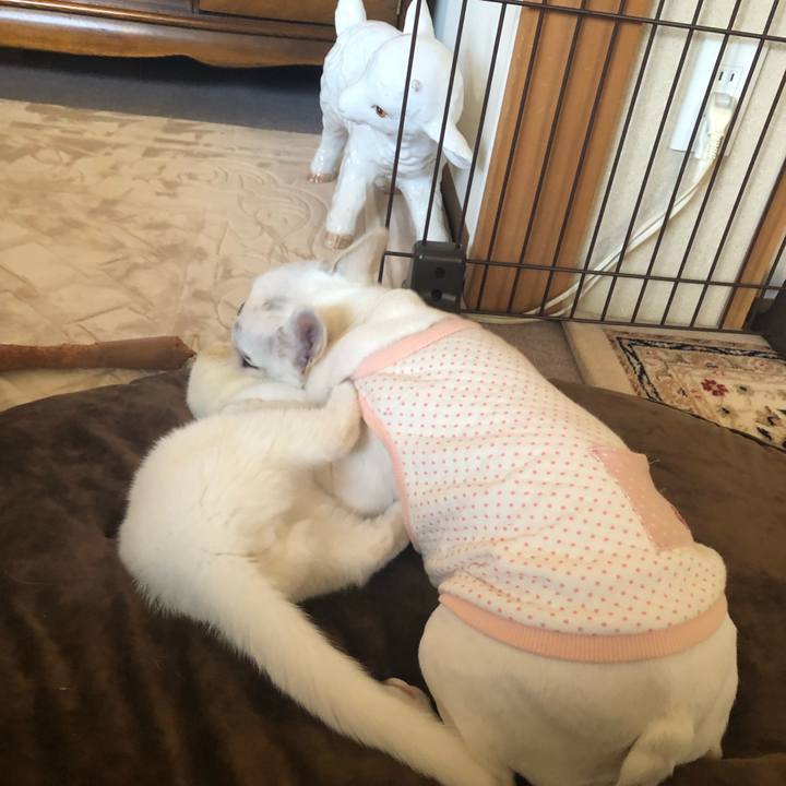 10674438 74ca 4bf5 b46f e15c618cc386 1551494160157