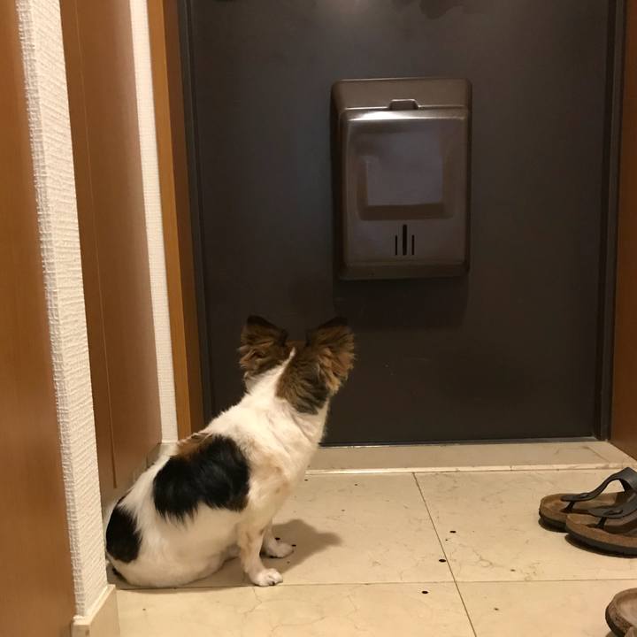 106781dd 1192 46ad 941a 44d47356c197 1534155303421