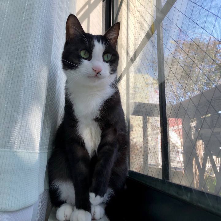 10679824 9133 491c ab78 104967f2b155 1550469497270