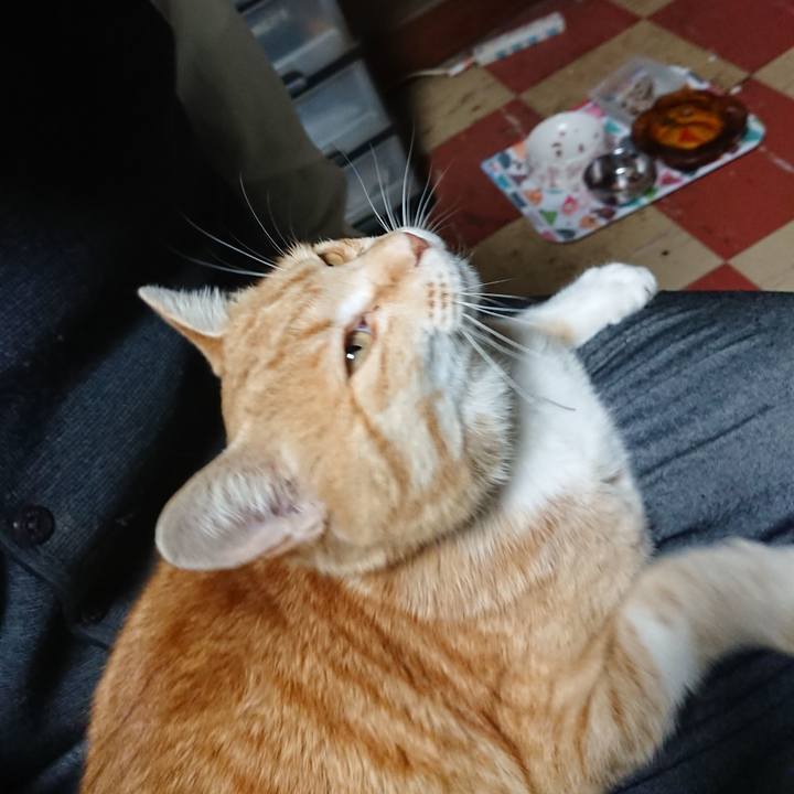 1067a97b fdd1 4021 a457 3a223a500be0 1587719156686