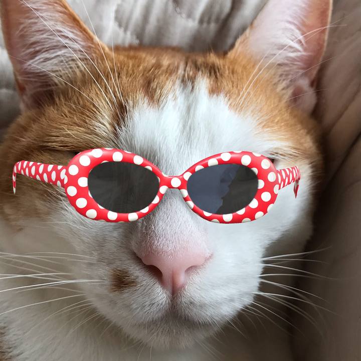 1067d057 4563 4486 858d e9fe78c27b2a 1566733768743