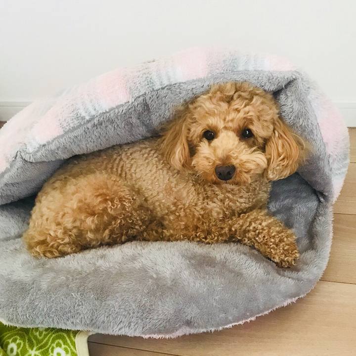 1067e5e3 43ac 417e ac67 b3bf48680761 1523450564381