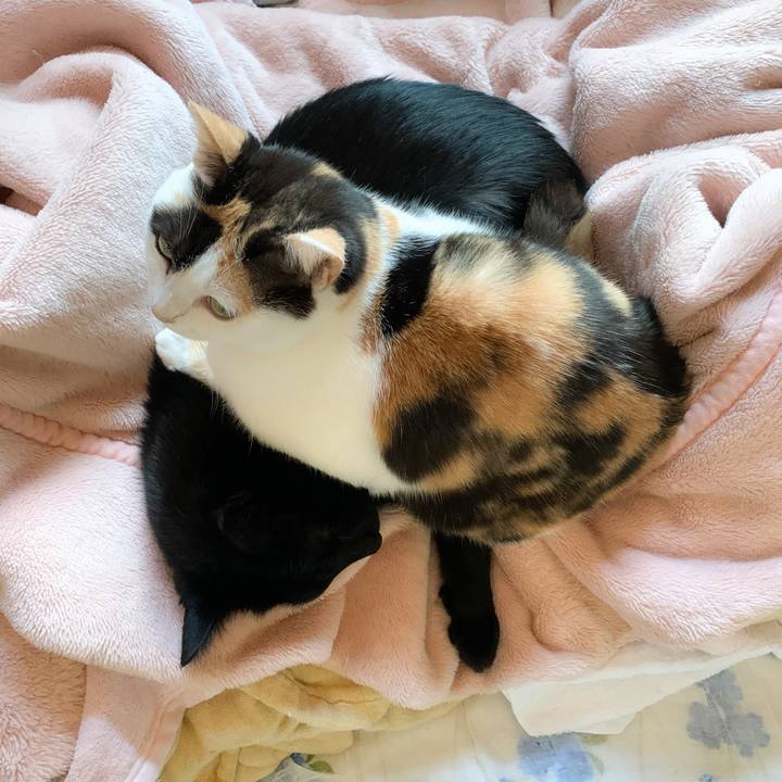 106845c3 ff13 4038 85e5 4e205911a844 1576377042289