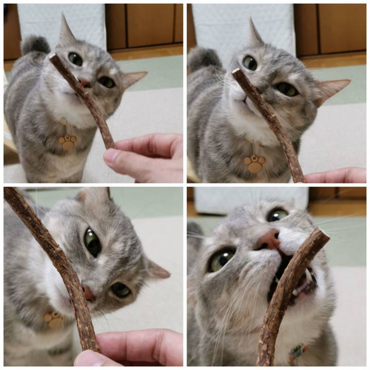 10686ef1 d44e 42e0 8dcf c4a3f981d0a9 1620398350786