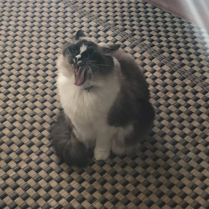 10688b21 b02a 4827 a7c4 61f961a1af8e 1513264124563