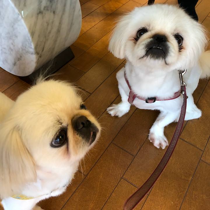 1068bcab 4491 4eff b657 776f577824a4 1536621721391