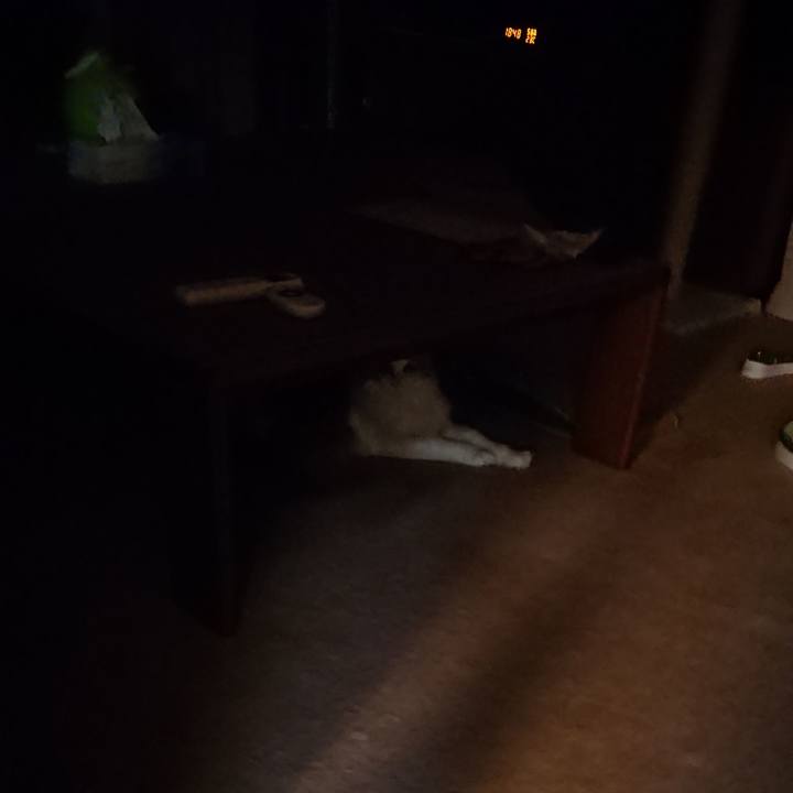 1068fcc5 66ea 4dc6 b776 7b9bf56716e0 1524304575665