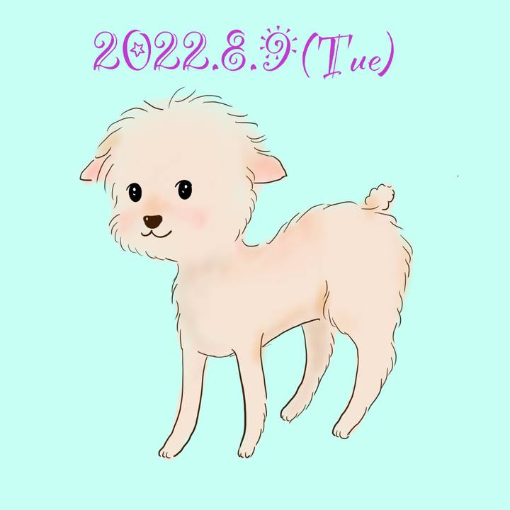 10693019 f0b5 4eb2 b3aa b6d573824a84 1660045382133