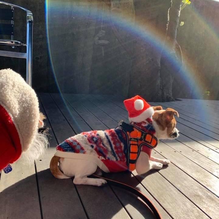 10695858 9930 4666 90b8 6f3fe3bd49c2 1671928038784