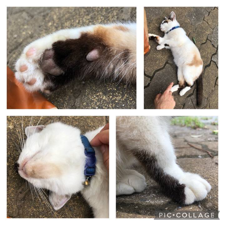 10695d54 1d3d 4b2b 999d 7c849dd96de2 1630702776331