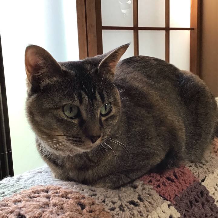 1069766f 9bf1 4a2b b2c6 915ebee19114 1653780598378