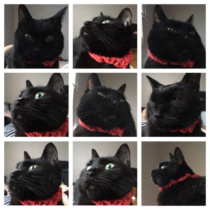 10699993 46bf 45b4 9bbf 80cd75754db6 1553145678817