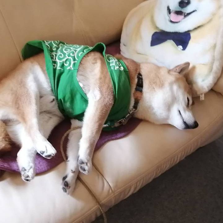 106a14da be55 4bf0 bdc2 bf3655bf3ebe 1586945765711