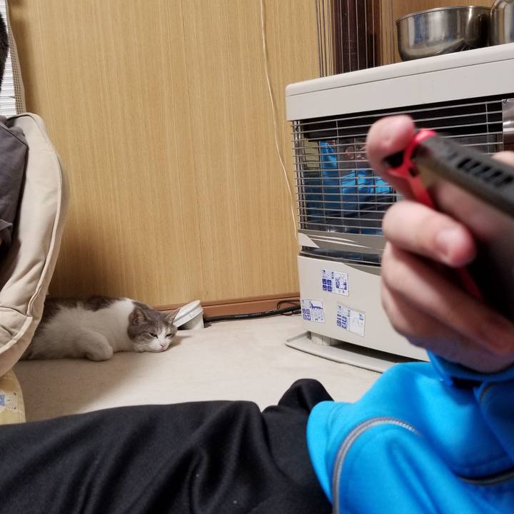 106a43d6 d251 4ab7 926a 179903c5ec7a 1637326815874