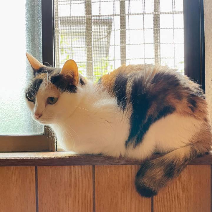 106a53d6 131c 4604 ade1 8ee4322ef4a4 1657677228709