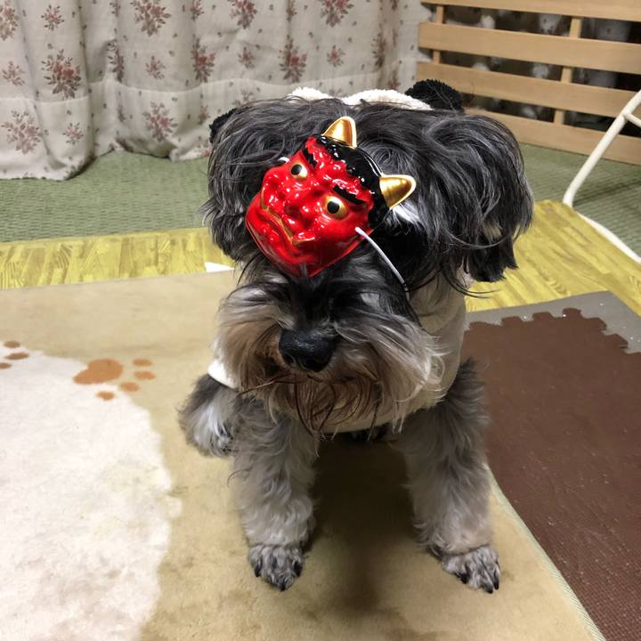 106ac8e3 8a87 409b 8311 9ec741481674 1549200728816