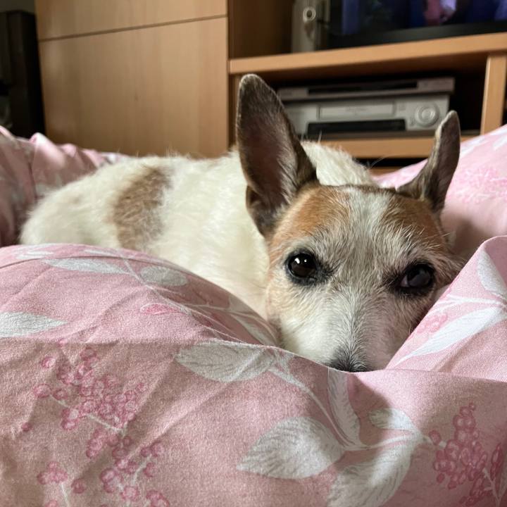 106b108a 7bee 44d9 9320 29416a37e1d2 1699916656587