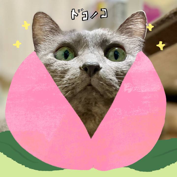 106b1bca c61e 4f57 9710 bf1f123a6176 1771943012011