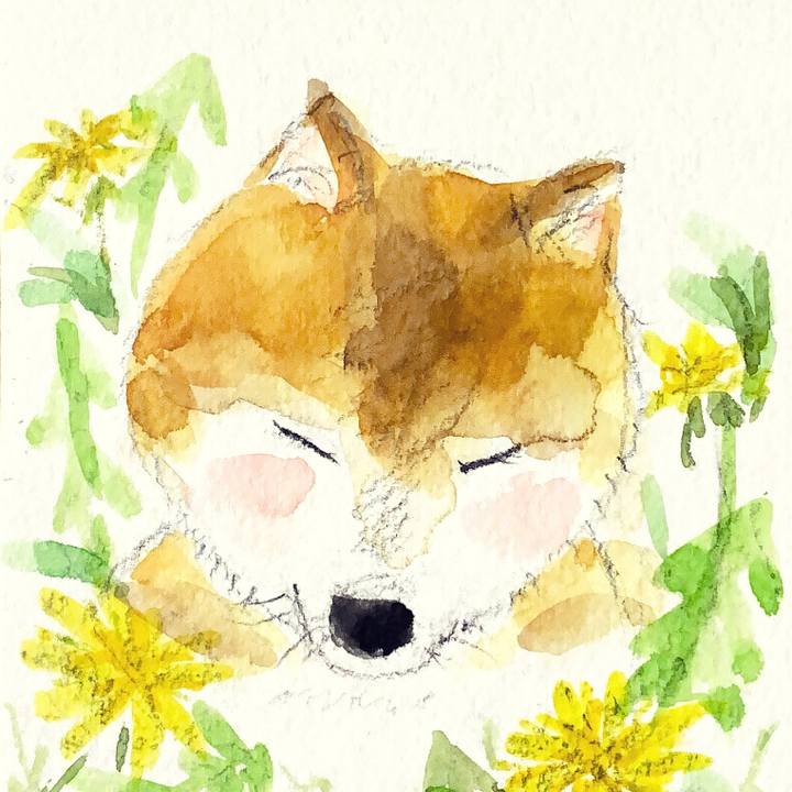 106b2546 0bde 41c8 9cad 638d31c1542f 1643012260025