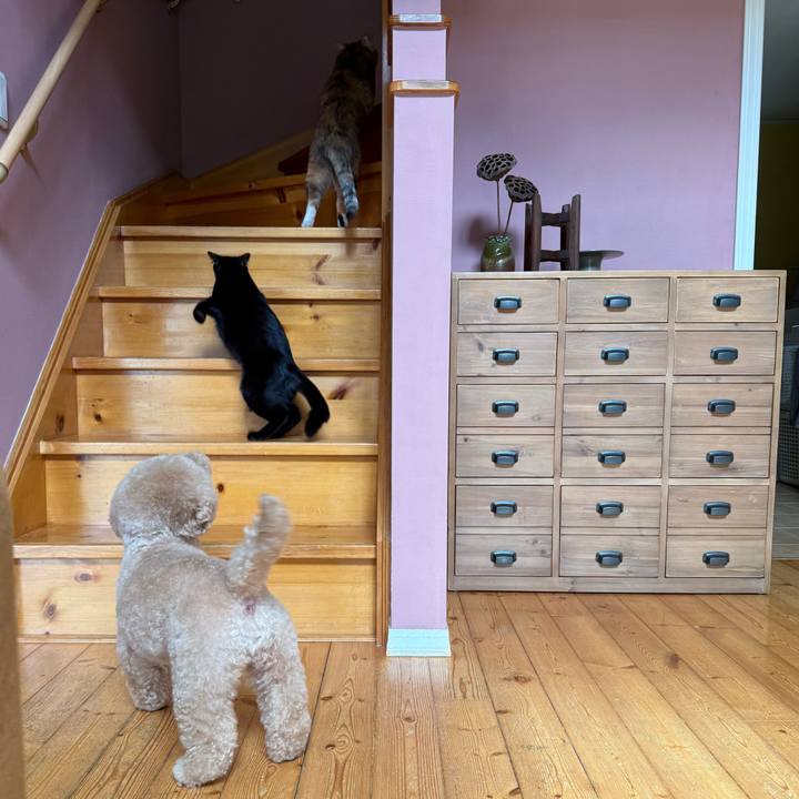 106b3562 71ea 49d0 92c7 90852501292b 1760941898568