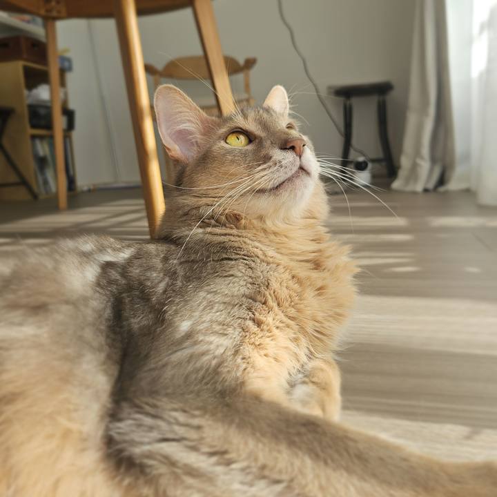 106b74ae 6d3c 4b3f b33f 3ea5547de921 1761728605443