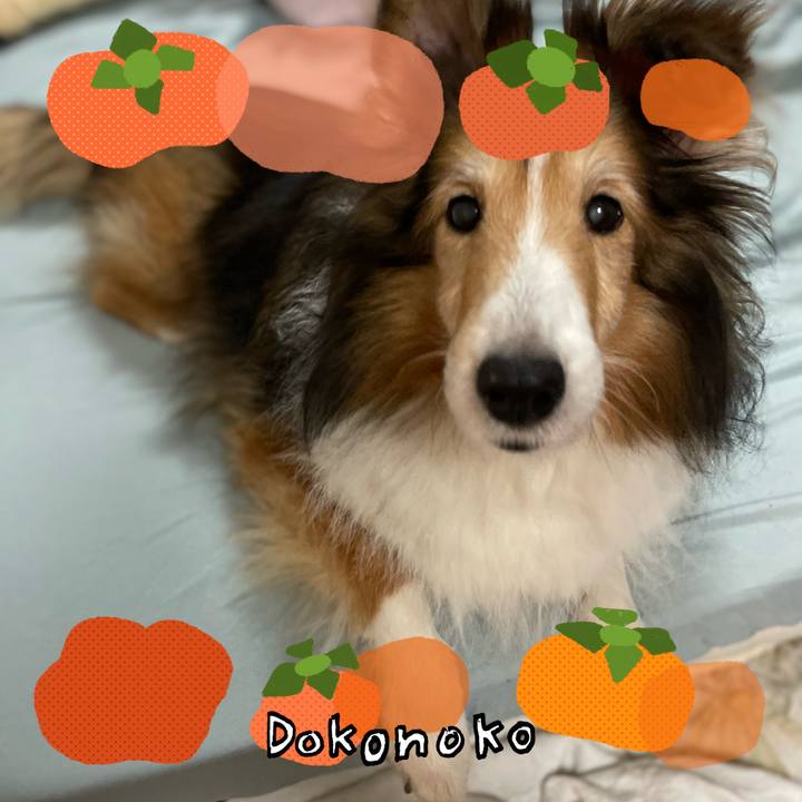 106b84cd fc35 4632 aa37 41ec2943e979 1761115944434