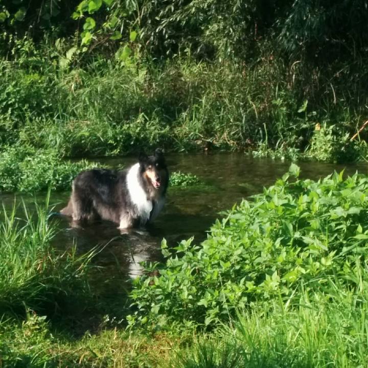 106bb611 99c7 4e2a 916b 354600cc01b5 1690461809593