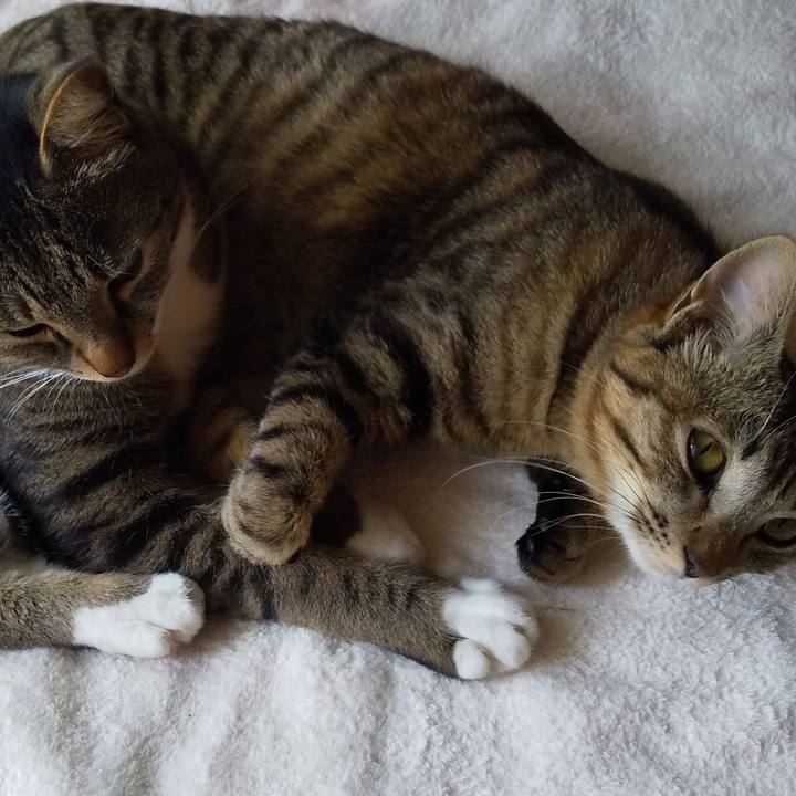 106bbfbf f7fe 4f74 913f 215792a7d200 1652847014189