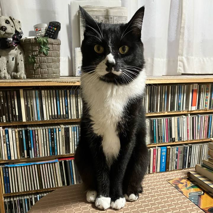 106bd40a 934f 45ab 9017 4894a23114d0 1671421155042