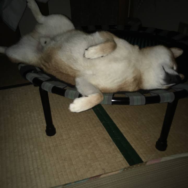 106bf07f 2757 4243 830d aa1ecab3d5ae 1597466874720