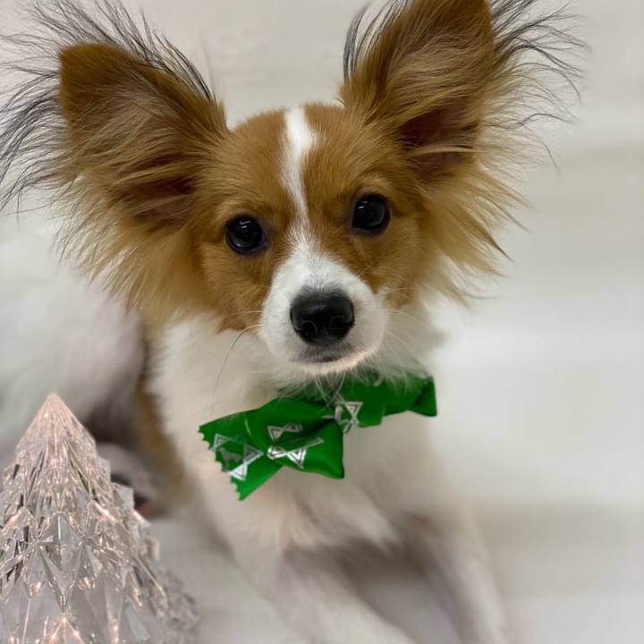 106c20e7 1758 4674 b47c ae095189d4c3 1608034627157