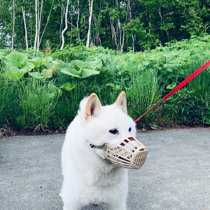 106c3525 7b55 4c3b 9bbe d06991028dd2 1590612877054