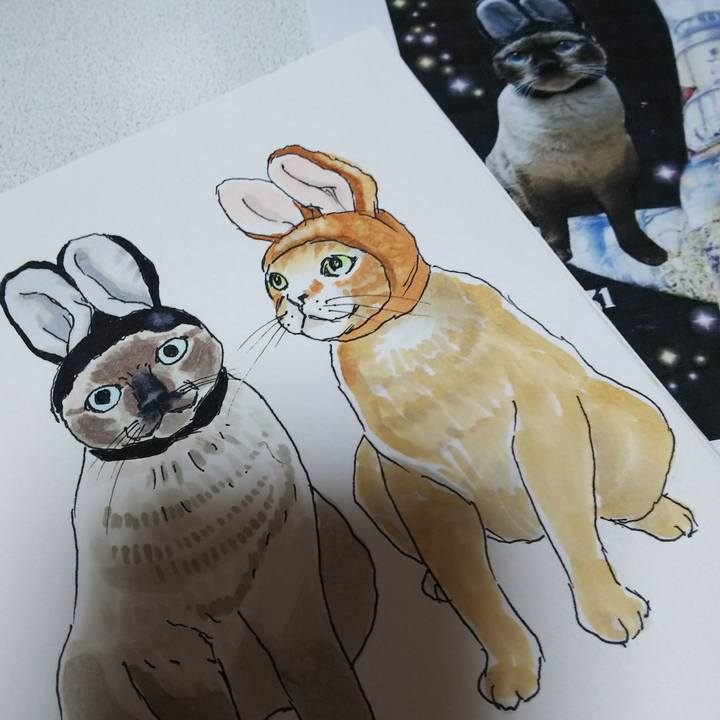 106c85f9 26ad 41e3 ace8 edbc0e7c874a 1538979363824