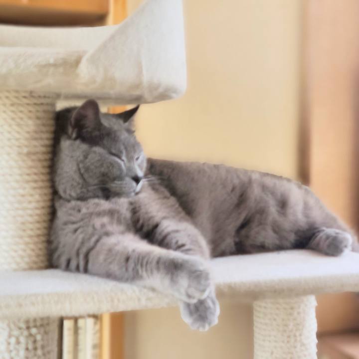 106c93e3 d5c7 4f11 8f1f 5440f8eecbec 1719820408411