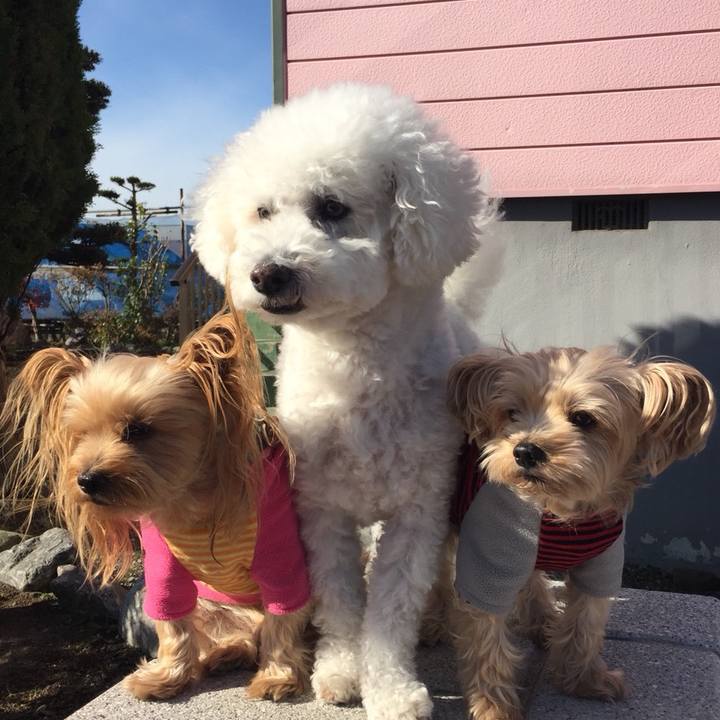 106cc8d1 f6f6 4550 b1ca 9781dc33e4c8 1541578639215