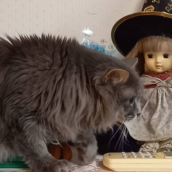 106cf22c 2960 48e6 80fb 83ca86f10645 1639658581735