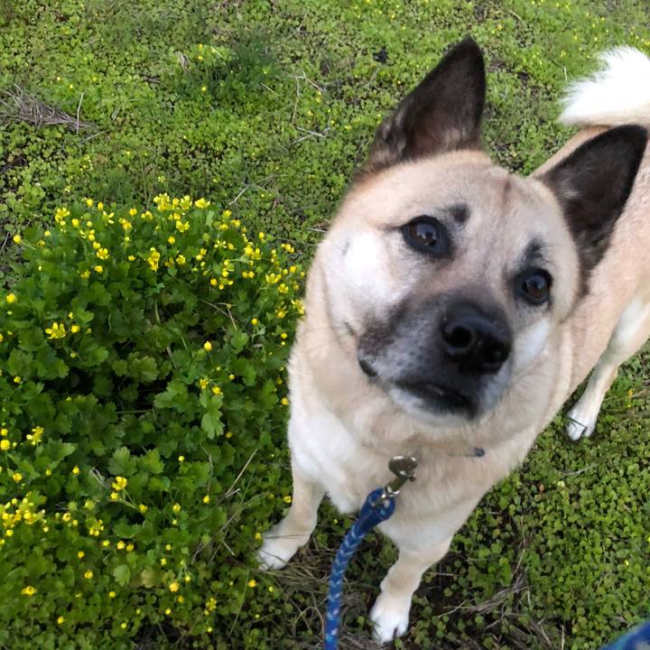 106cffb0 fb98 4a44 99b8 3ac419536068 1617885148656