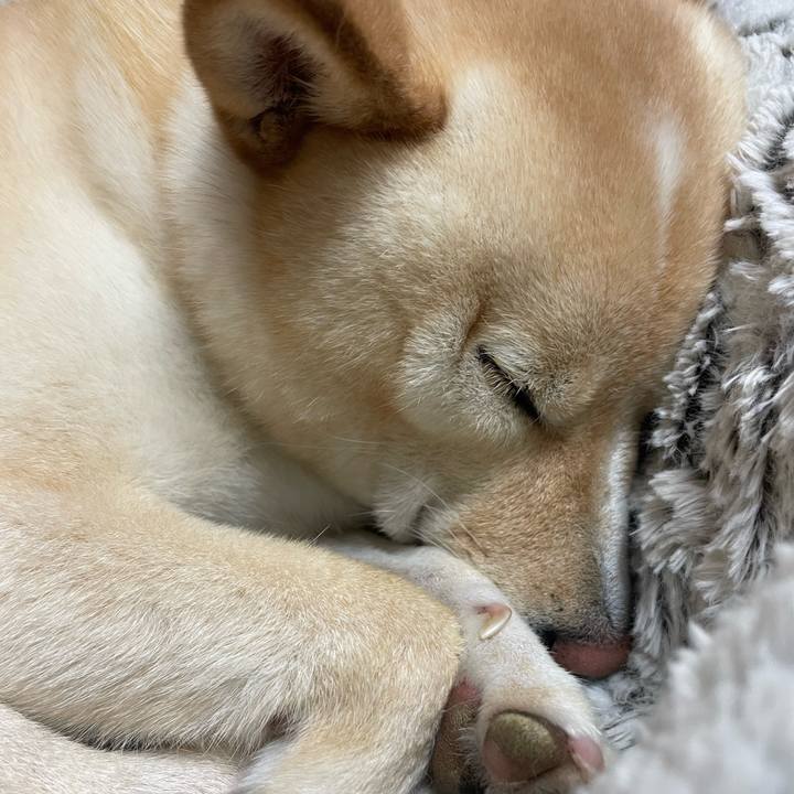 106d051c 7f5e 4274 b447 8ea5bdad3345 1661776131991