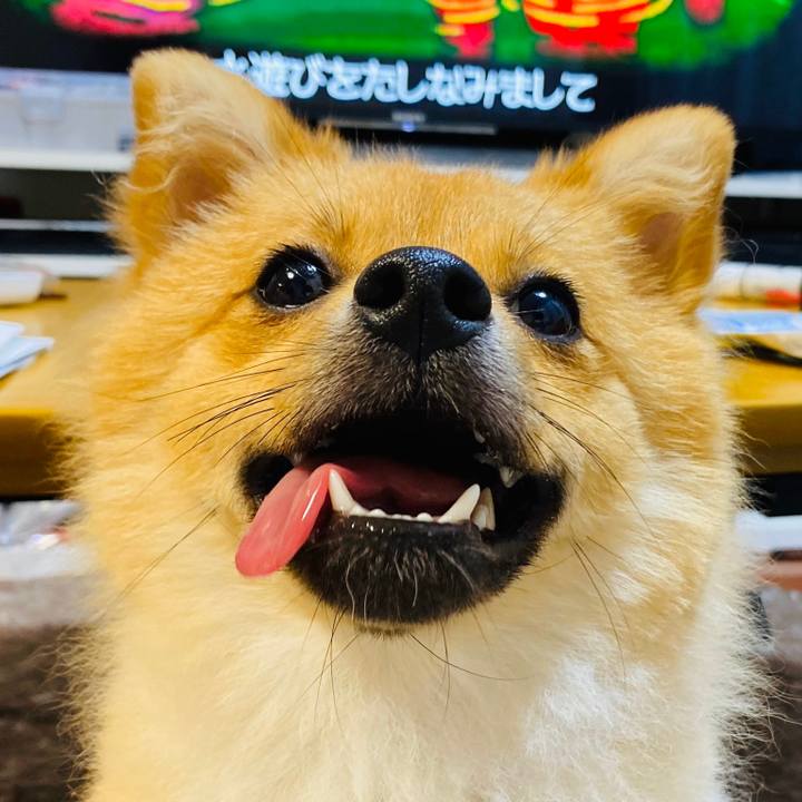 106d05b2 5adc 41fd 8281 f1e47e8bef1e 1600053757042