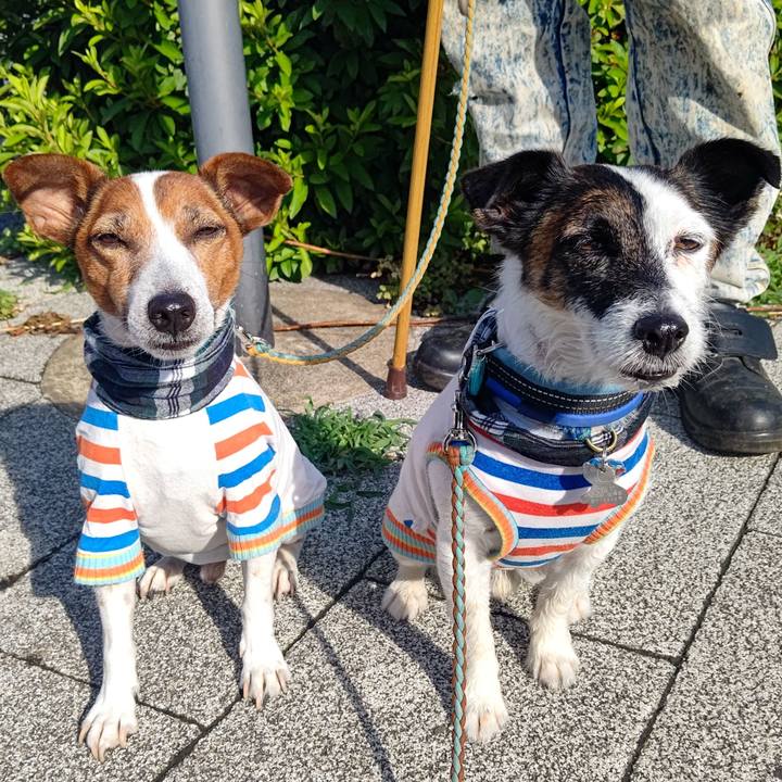 106d389c 230e 48d6 9eda 670f510b4e88 1719013352525