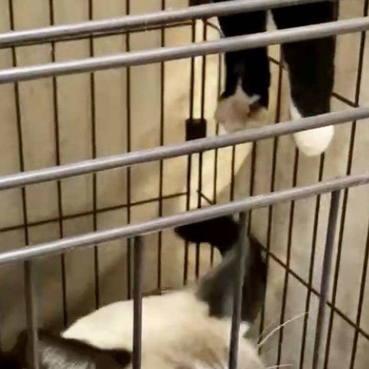 106d6263 1836 4029 8b12 07f50f01dd58 1735416223410