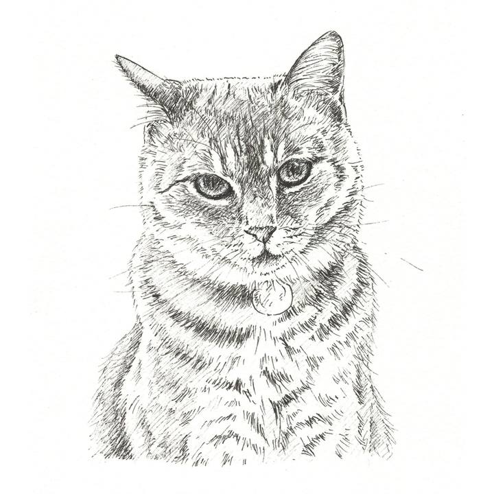 106d83fc 6c29 4b69 af83 a9ad6a4b0186 1559656972841