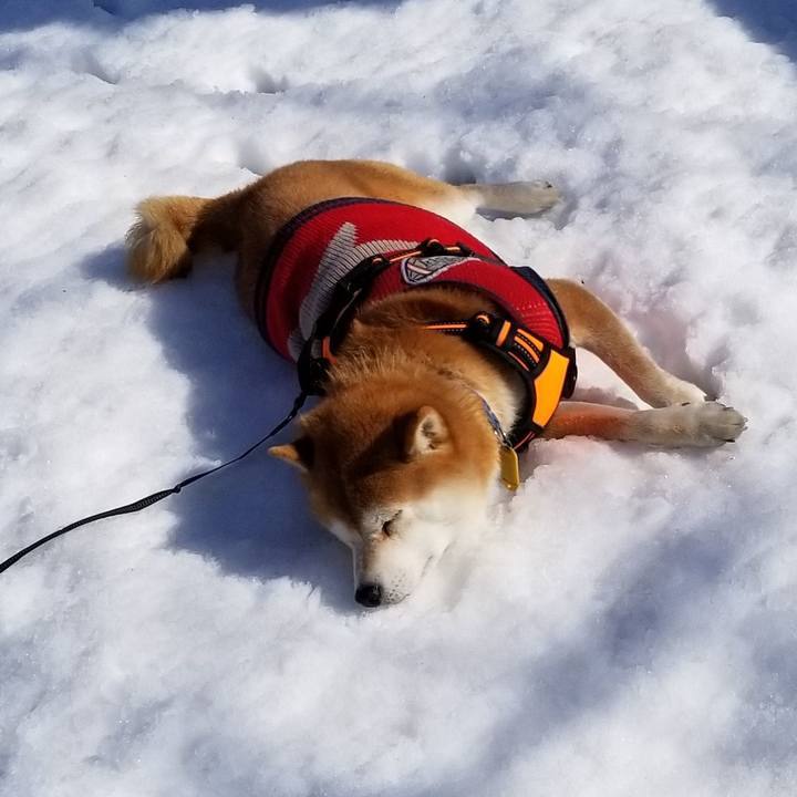 106db323 1000 4421 97ad 01473655ac9d 1582952872452