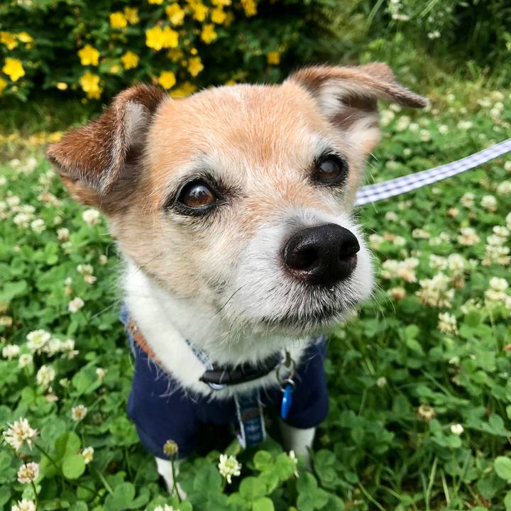 106dbcc1 187f 418b 9d18 3cf8cf804d16 1654995604299