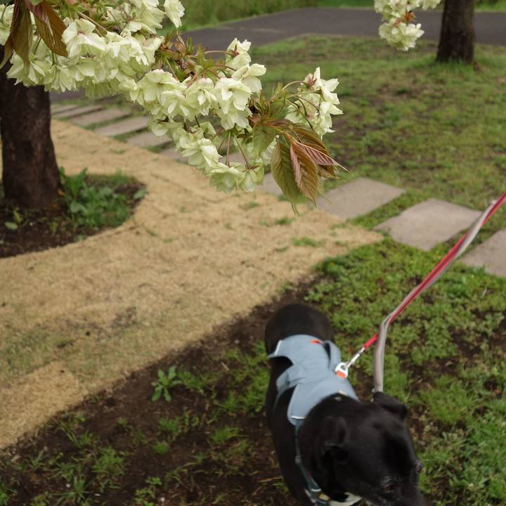 106dc6ab 4c21 4dfb b841 b26f426cac52 1744332401176