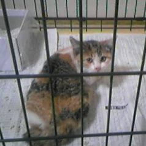 106dd66b 8f2f 46e3 874a 5e34b45238cf 1611845959933