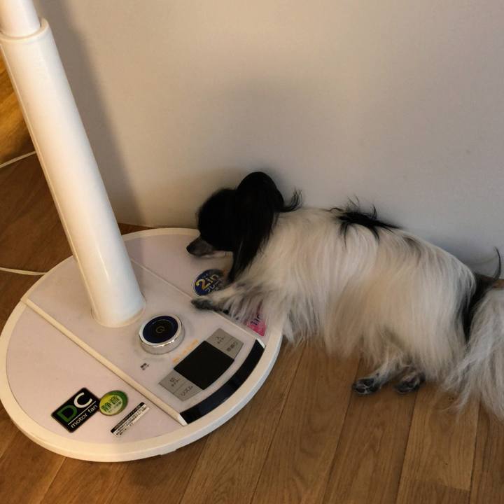 106ddb9f a92d 4984 8dc5 7e77e7dfaf49 1534761492226