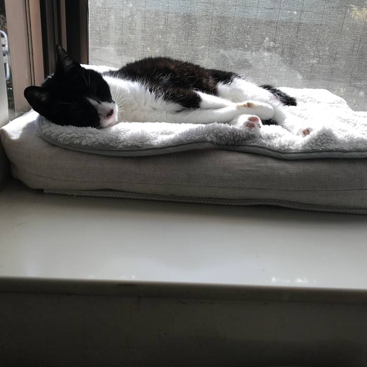 106de857 6699 4ca4 a2a8 832e01dd4543 1514377591843