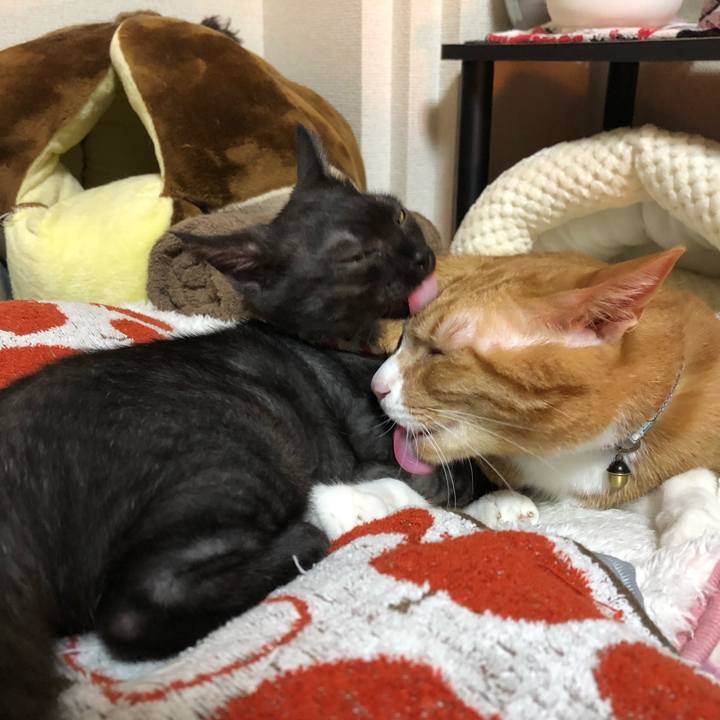 106dedbf aa8a 48bc b619 9e54aa3fed06 1608837402315