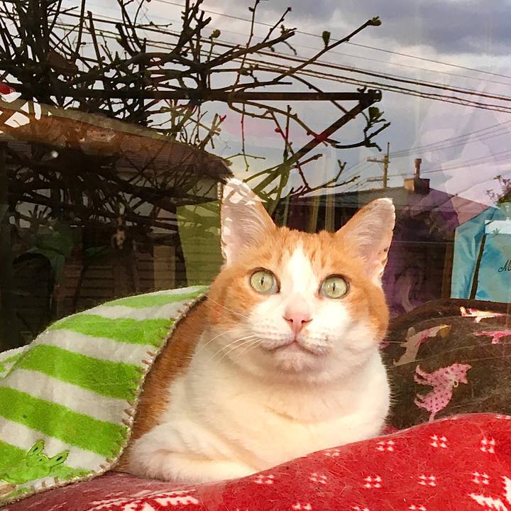 106e2391 0a52 4e2a addc c09b8db2576a 1618620473123